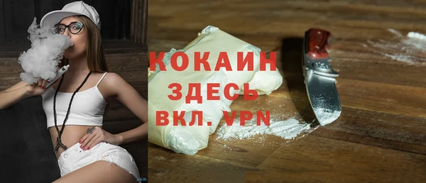 индика Надым
