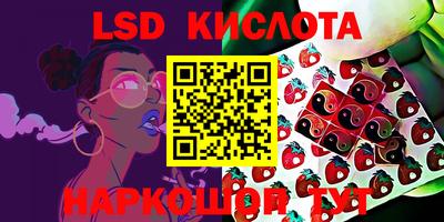 PSILOCYBIN Донской