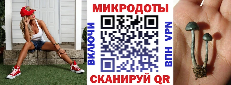 Псилоцибиновые грибы мицелий Ишим