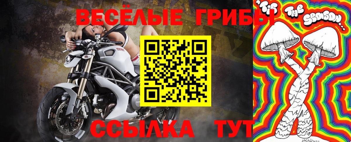 Ишим  Псилоцибиновые грибы Cubensis  Вход с VPN 