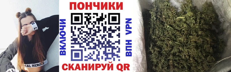 Бошки марихуана гибрид  Ишим 